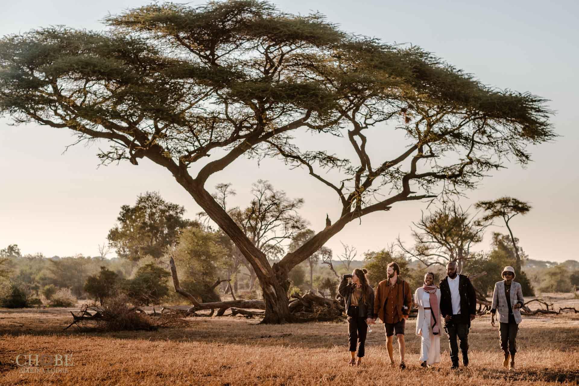 Chobe Marina Lodge — gallery 2