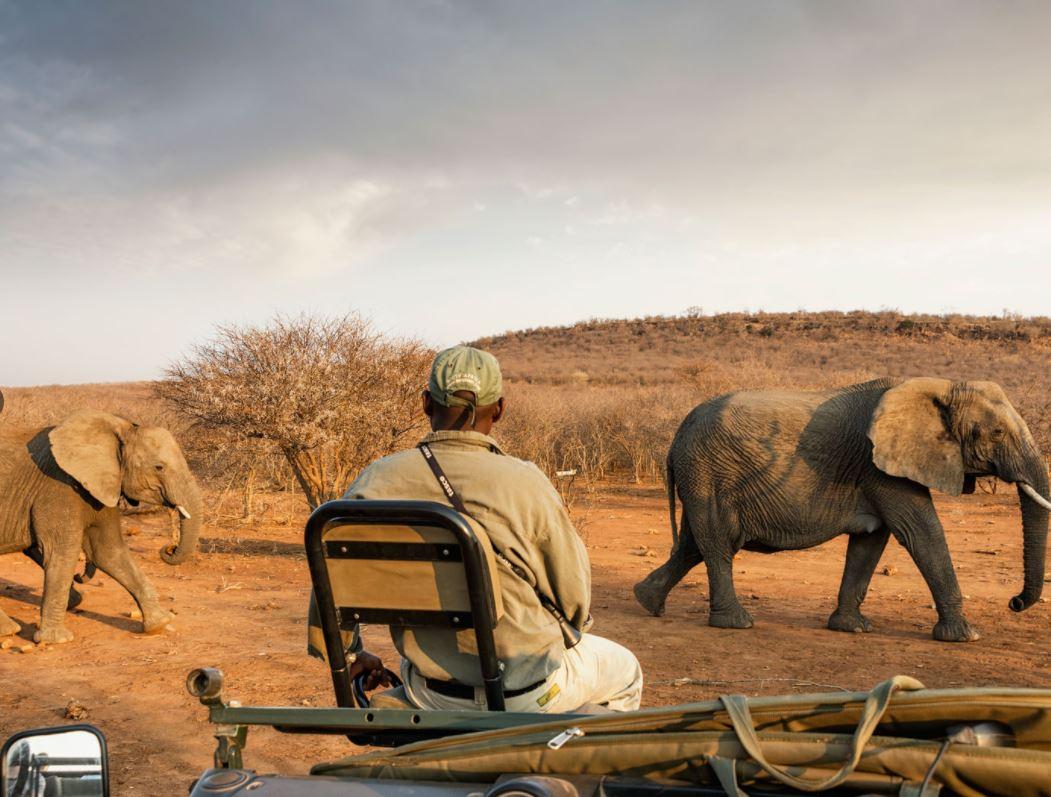Impodimo Game Lodge — hero