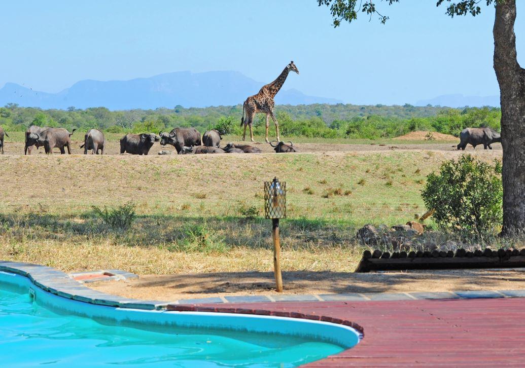 Tangala Safari Camp — gallery 2