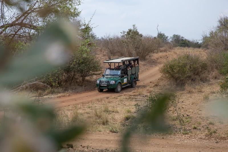 Kruger Untamed Satara Plains Camp — gallery 1